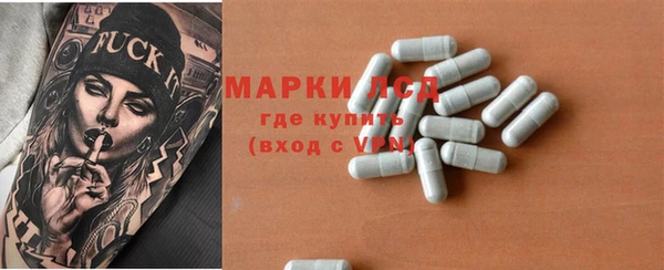 прущие грибы Зеленодольск