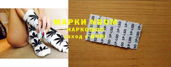 сатива Зеленокумск