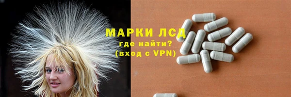 прущие грибы Зеленодольск