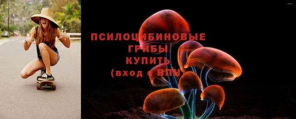 соль ск Зерноград