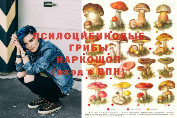 прущие грибы Зеленодольск