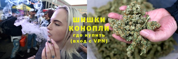 прущие грибы Зеленодольск