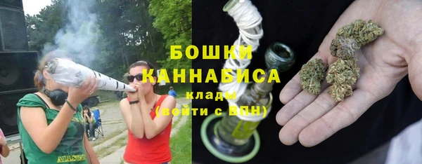 прущие грибы Зеленодольск