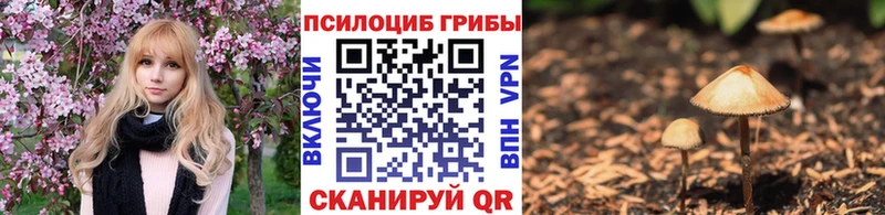 Галлюциногенные грибы Cubensis  Купить  Волхов 